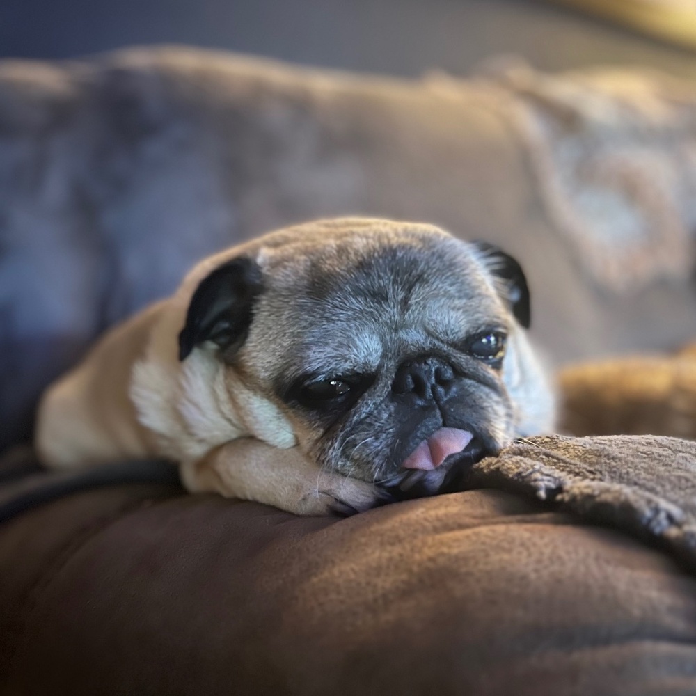 Meet your Posher, Natty